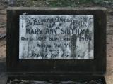 image of grave number 850006
